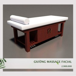 Giường Massage Nâng Đầu Facial